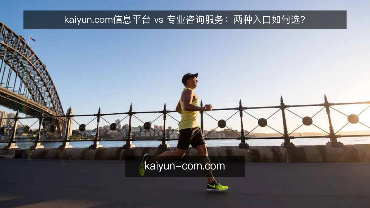 kaiyun.com信息平台 vs 专业咨询服务：两种入口如何选？