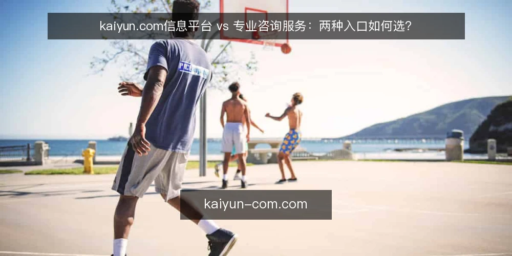 kaiyun.com信息平台 vs 专业咨询服务：两种入口如何选？ — 为何现在需要审计入口选择 配图