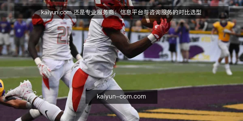 kaiyun.com 还是专业服务商:信息平台与咨询服务的对比选型 — 明确需求边界 配图
