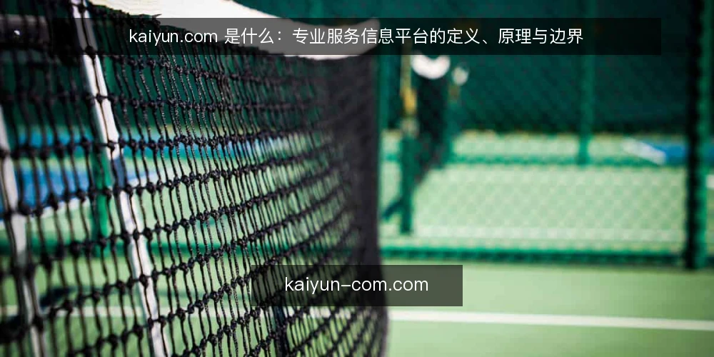 kaiyun.com 是什么：专业服务信息平台的定义、原理与边界 — kaiyun.com 是什么：先厘清概念 配图