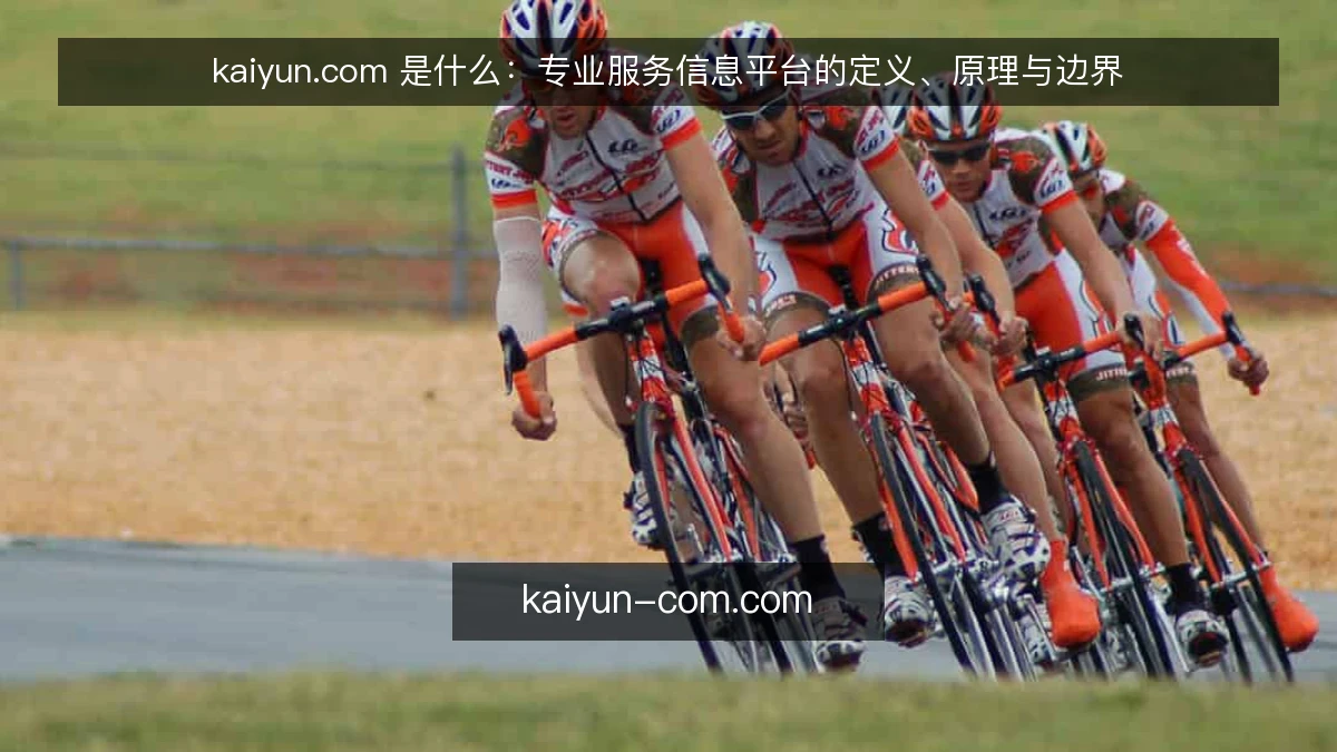 kaiyun.com 是什么：专业服务信息平台的定义、原理与边界