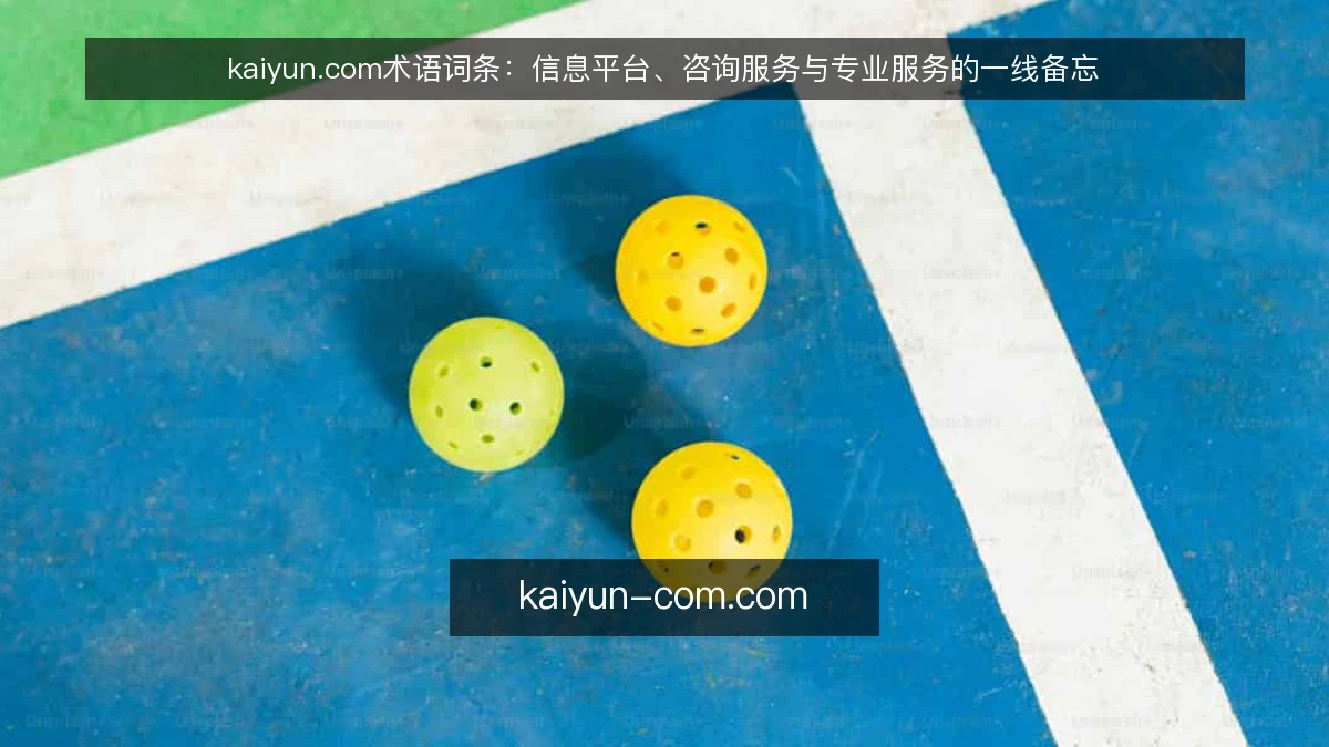 kaiyun.com术语词条:信息平台、咨询服务与专业服务的一线备忘